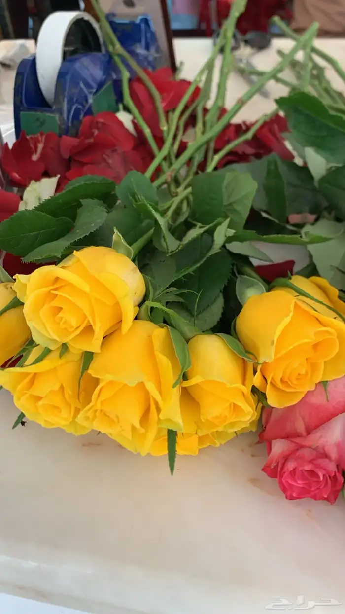 ورد طبيعي جملة 4