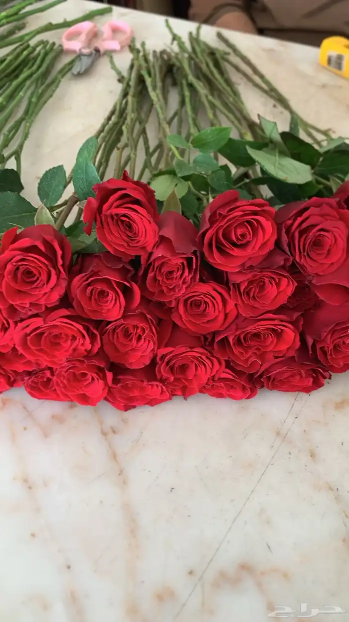ورد طبيعي جملة 3