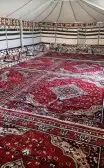 بيوت الشعر الأبيض الرائع 12