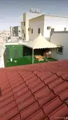 تلبيس قماش بيت شار مشب نار مظلات سواتر معلم الباكستاني 7