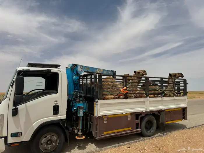 دنا ونش دنه هيدروليك نقل ابل 0