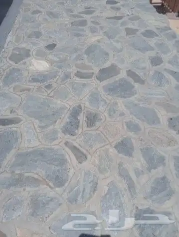 ابو نشمي معلمين حجر الباحه 37
