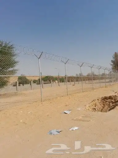 شبك  نخيل  شبوك  نخل 0