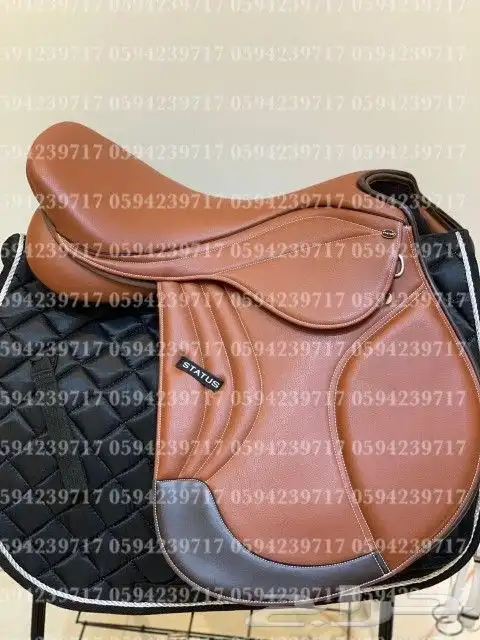 بكج سرج ستيتوس الاصلي 0