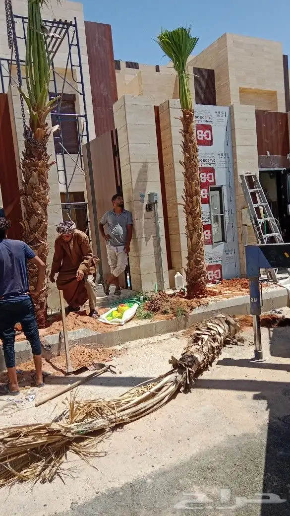 نخيل وشنطن زينه توريد وتركيب جميع انواع المقاسات 2