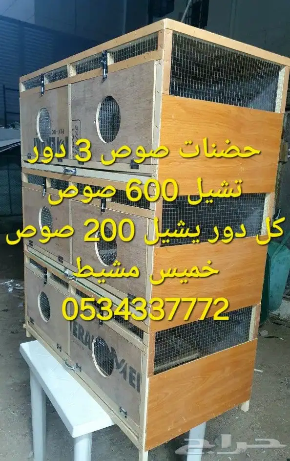 حضانات بطاريات صوص الدجاج مع هديه عرض 1