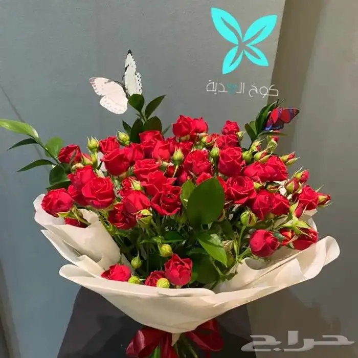 هدايا خميس مشيط لجميع انواع الورد والهدايا 15