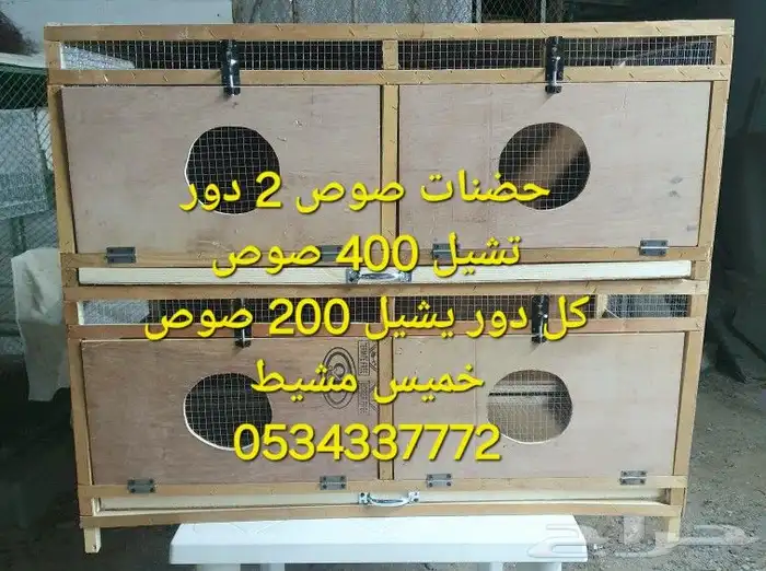 حضانات بطاريات صوص الدجاج مع هديه عرض 2