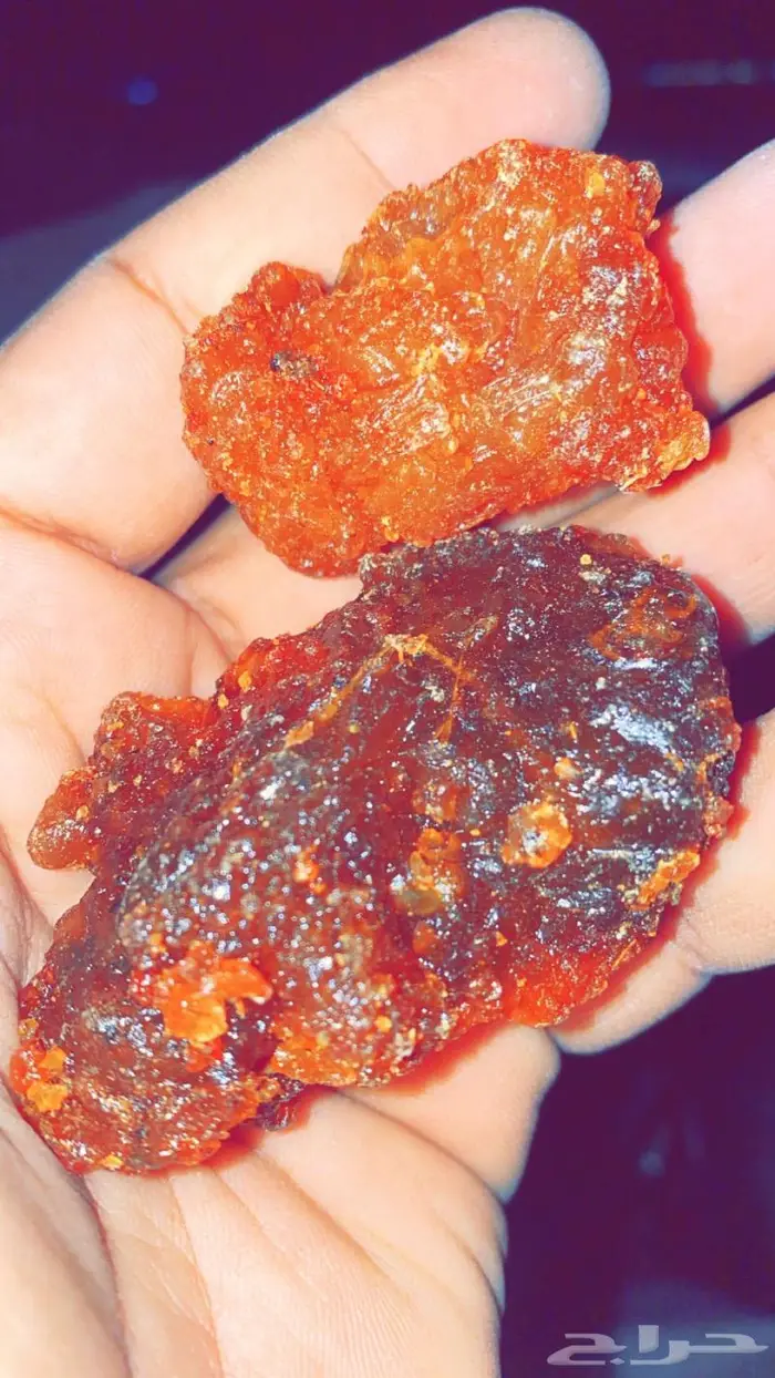 عشبة المر 0