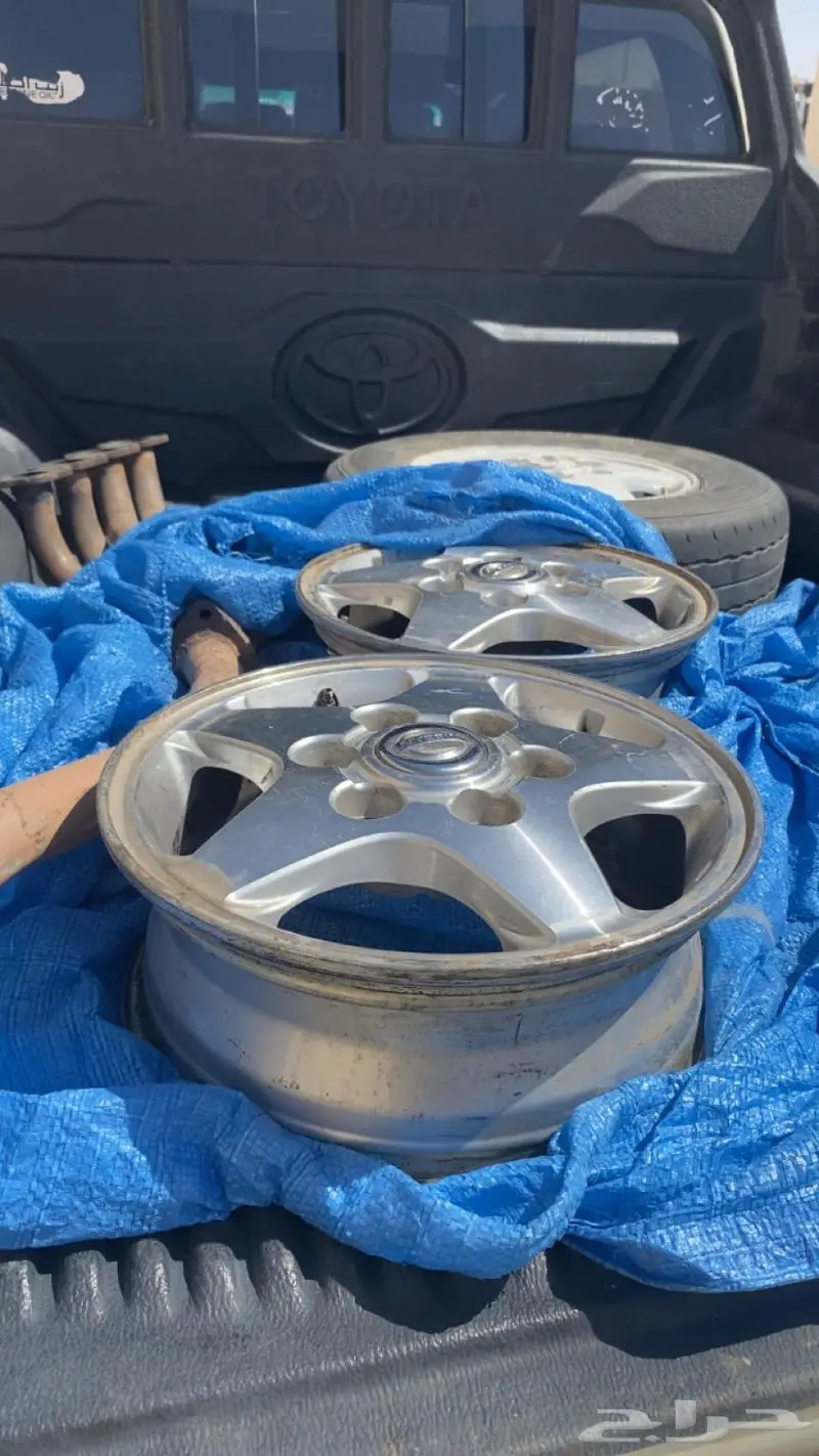 جنوط نجمه ددسن 2