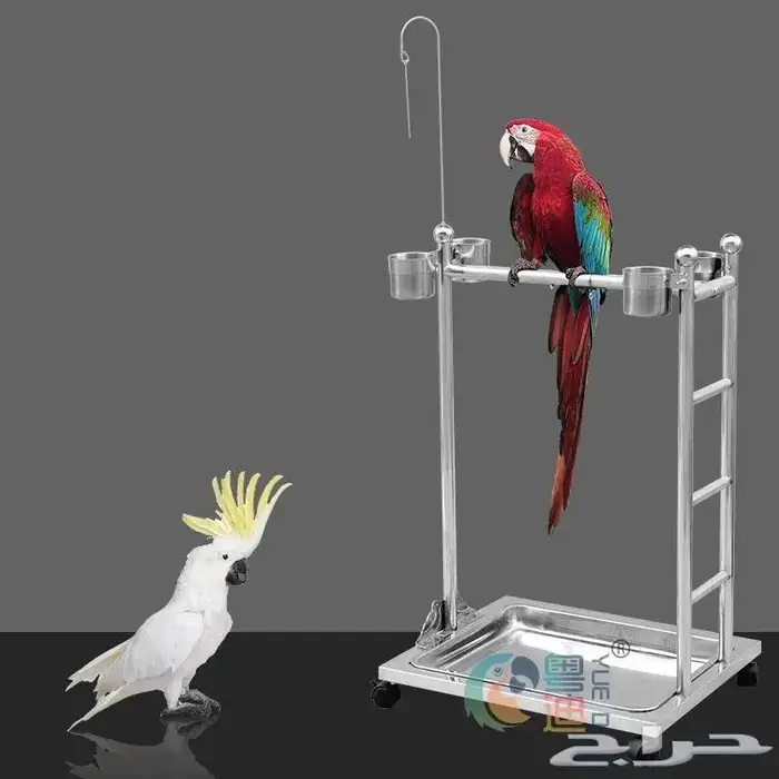 اقفاص جديدة كاسكو ومكاو 2