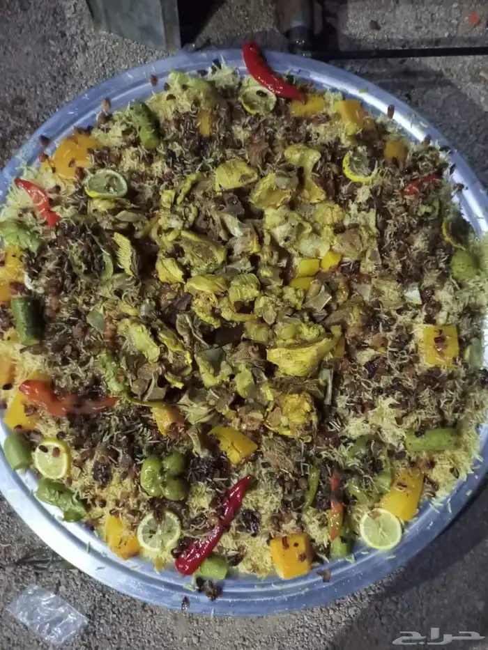 سياره رحلات   طلعات بريه حائل 39