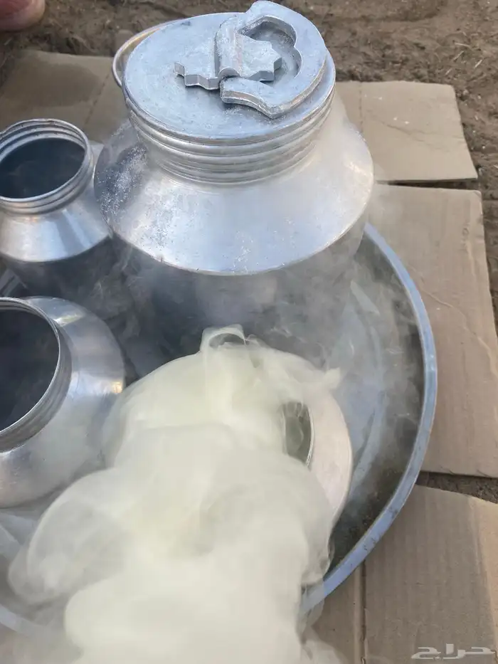 حوامض سمن بقر اصلي طازج ميه ب اميه 8