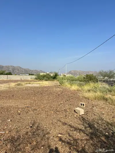 ارض للبيع مساحه كبيره محايل عسير 4