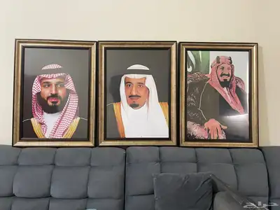 صور الملوك - صور القاده - صور ولي العهد 3