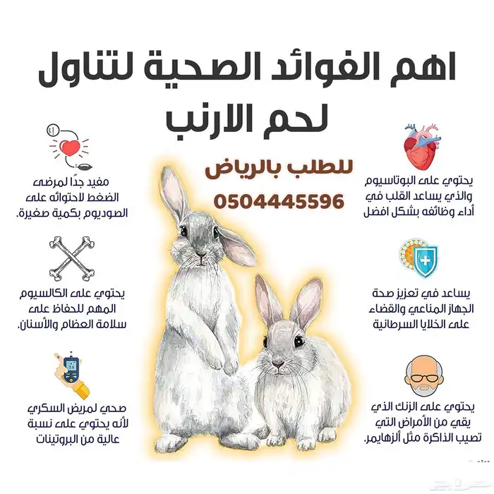 ارانب فرنسي لاحم 0