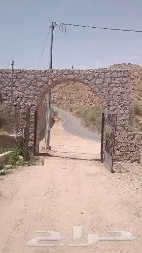 معلم ومقاول جميع مباني الحجر بيوت مزارع رباريب 4