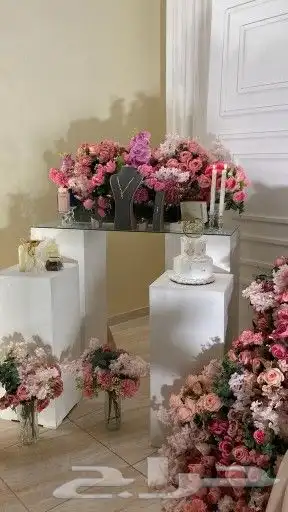 كوشات سكاكا كوشات دومه الجندال تنسيق حفلات سكاكا كوشات ال 8