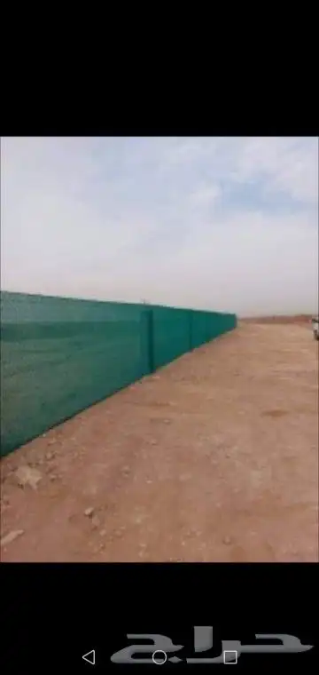 شبوك ونخيل 2