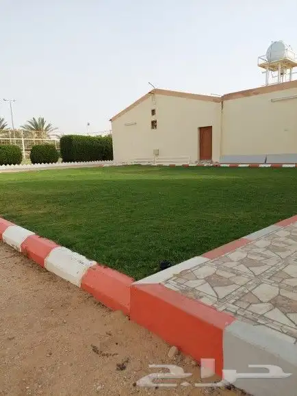 ثيل سي 2000الخرج 1