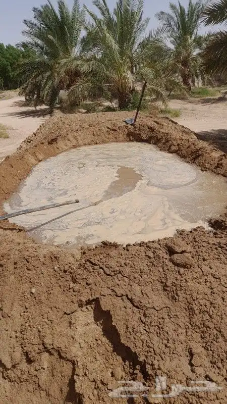 قديمك نديمك مجالس تراثيه ومساجد تراثيه وبيوت تراثيه 3