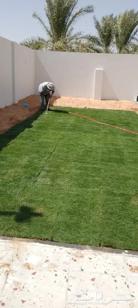 ثيل سي 2000الخرج 2
