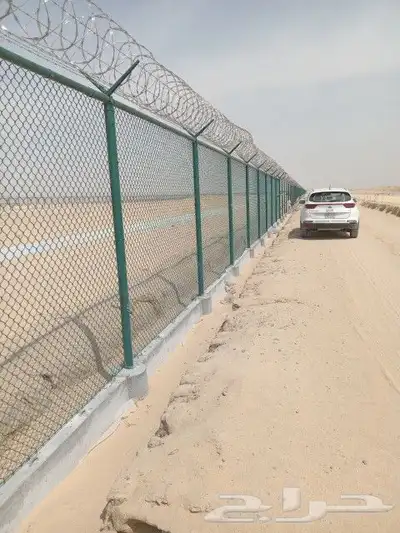 شبوك ونخيل 9