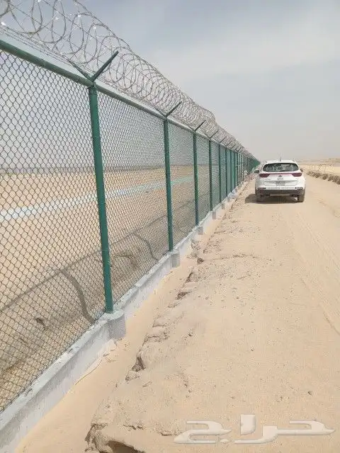 شبوك ونخيل 9