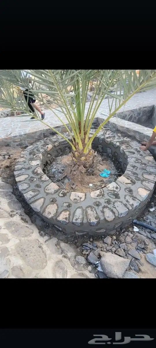 ممرات في غايه الجمال وبااحجار ملونه 6