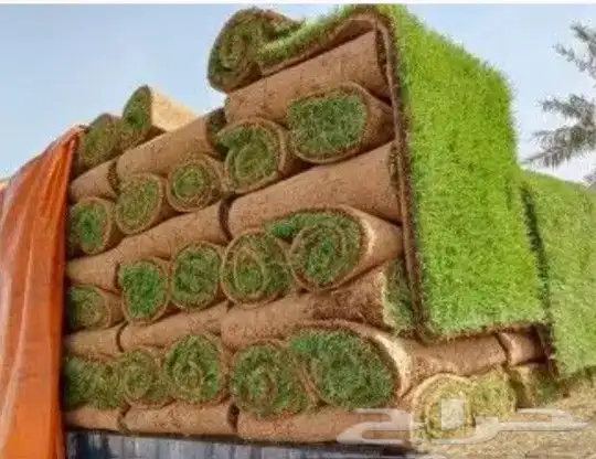 تنسيق حدائق الدمام 0
