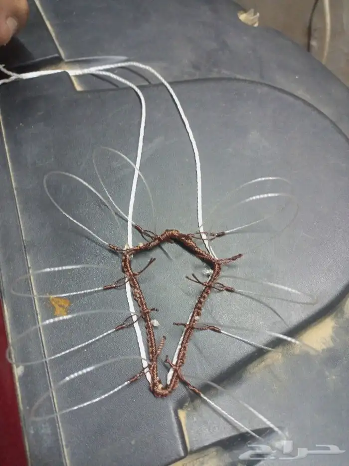 شبك لصيد الصقور 4