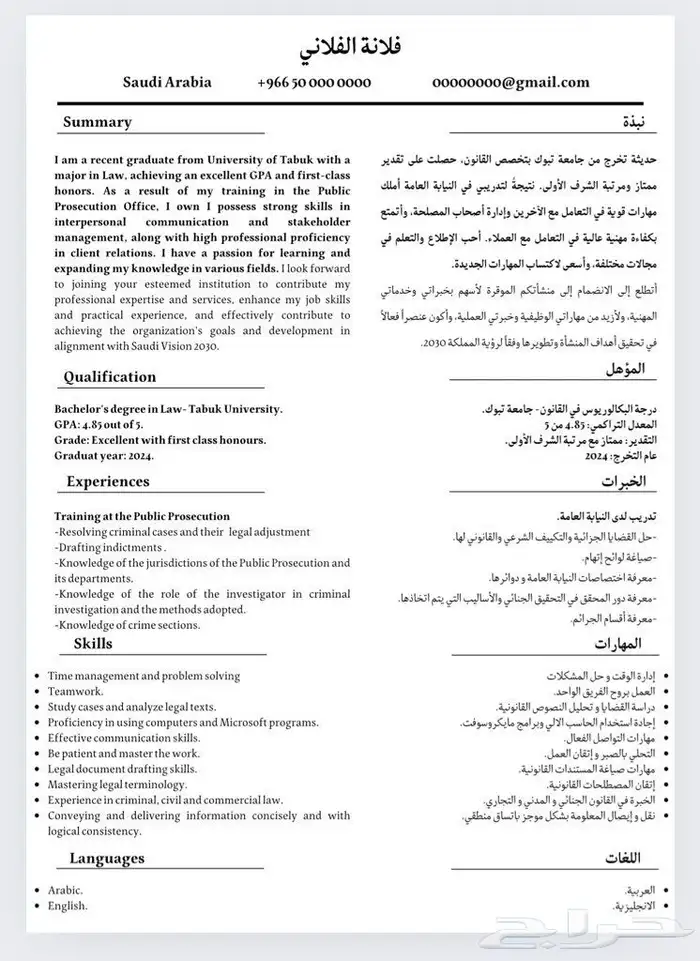 سيرة ذاتية احترافية 1