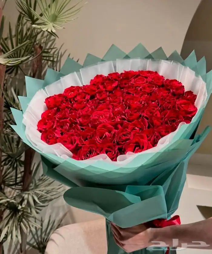توصيل ورد هدايا خميس مشيط ابها تنسيق هدايا ورد الجنوب 35