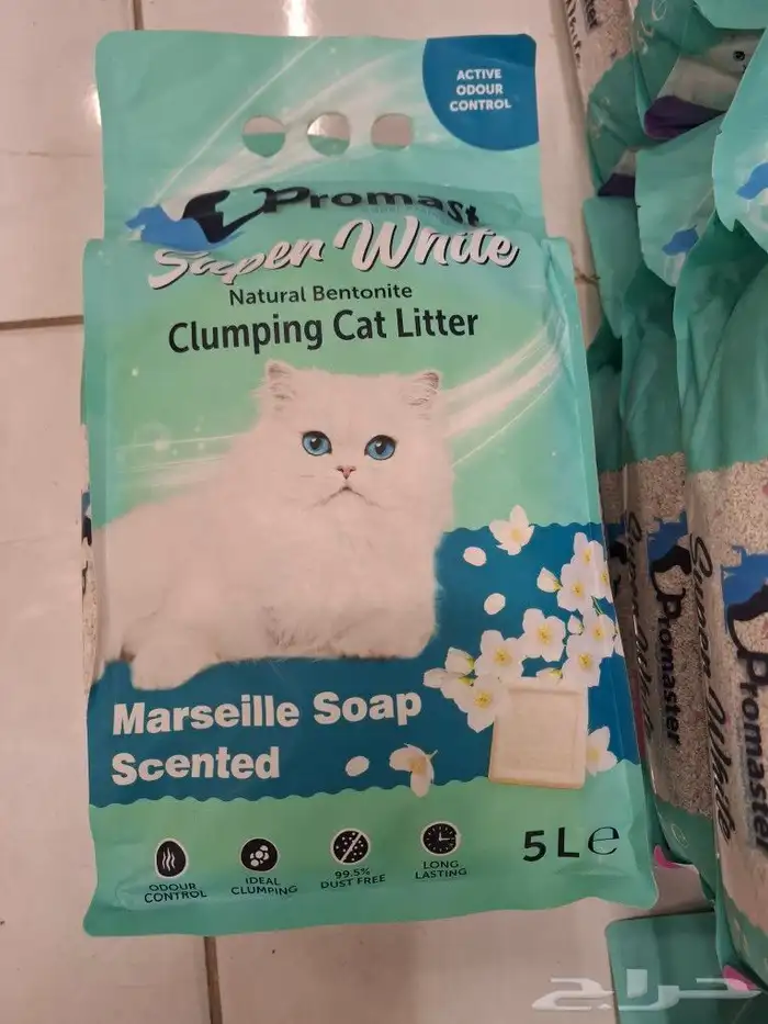 رمل قطط تراب قطط تركي هملايا سيامي شيرازي سكتشي فرعوني امريك 7