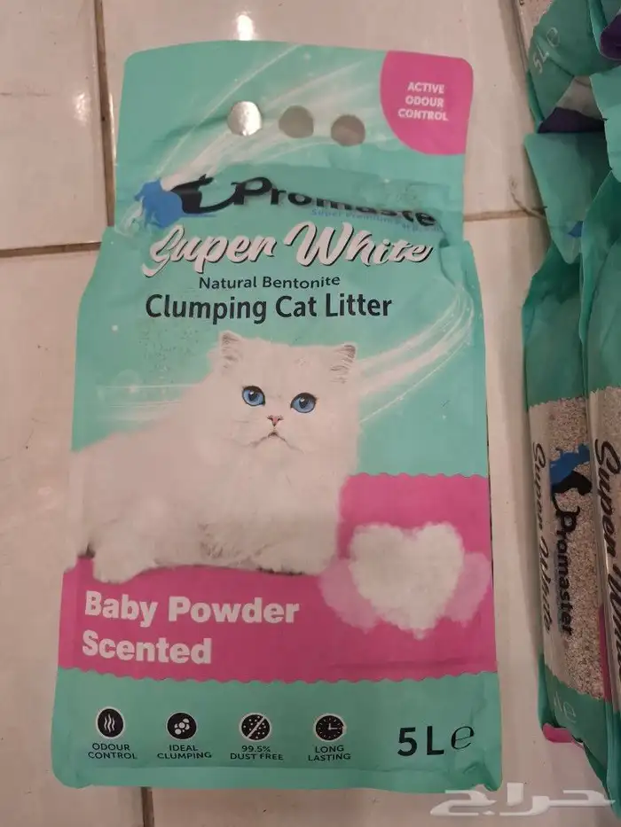 رمل قطط تراب قطط تركي هملايا سيامي شيرازي سكتشي فرعوني امريك 6