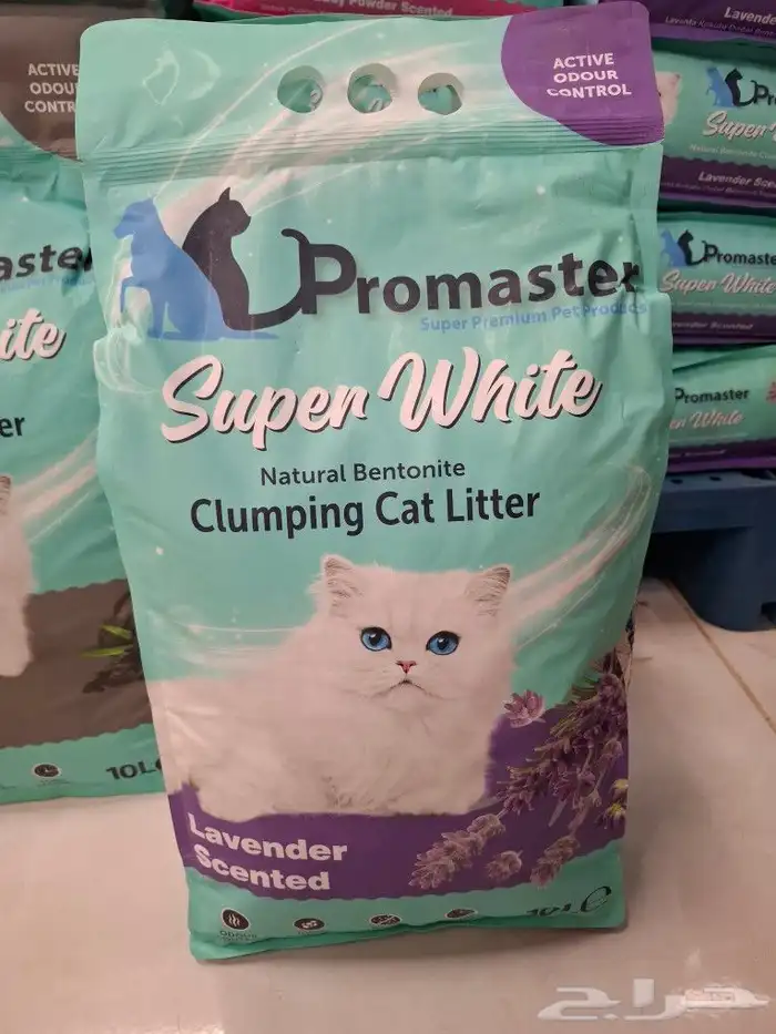 رمل قطط تراب قطط تركي هملايا سيامي شيرازي سكتشي فرعوني امريك 3