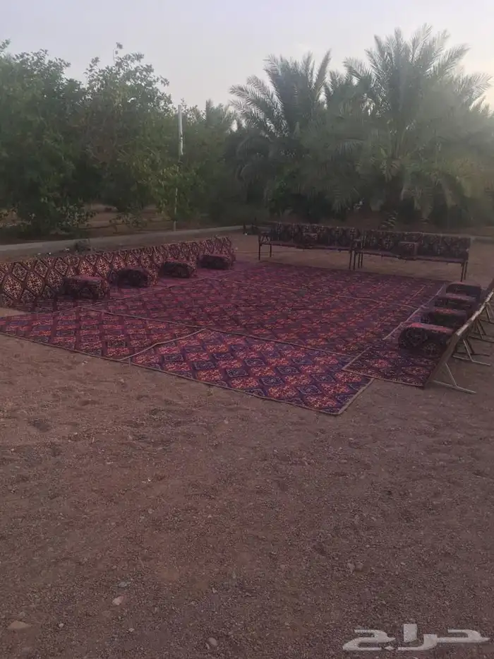 سياره رحلات   طلعات بريه حائل 43