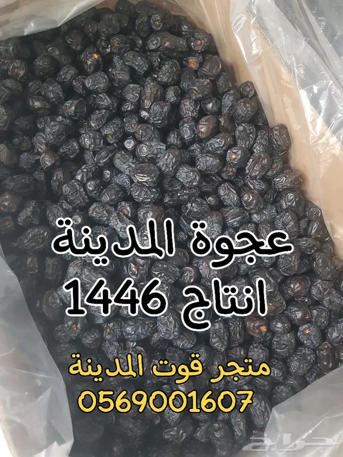 تمر عجوة المدينة جديد ونقي 0