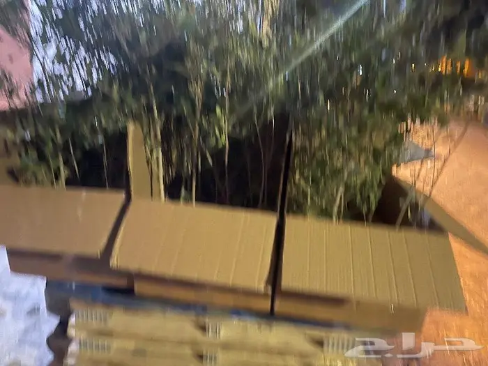 نجيل طببعي وزيتون شحن لانحاء المملكة 19