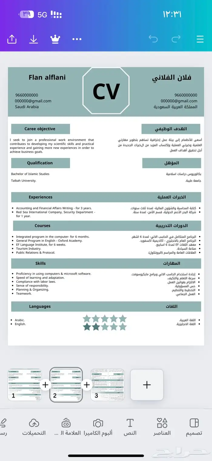 سيرة ذاتية احترافية 0