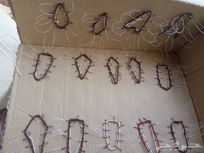 شبك لصيد الصقور 0