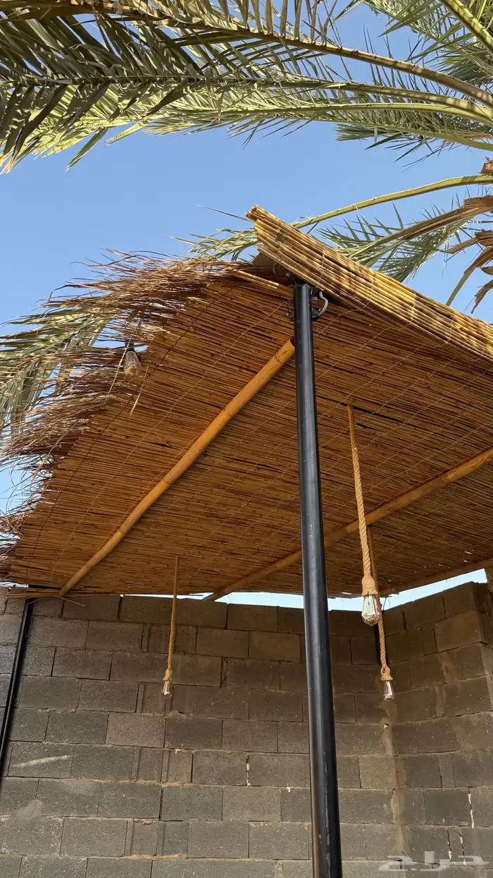 رولات خيزران باكستاني جودة عالية 9