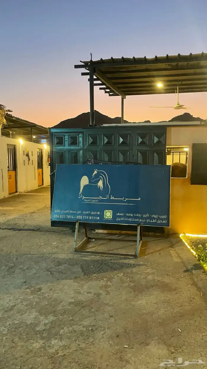 مربط الجواد للخيول العربية 0