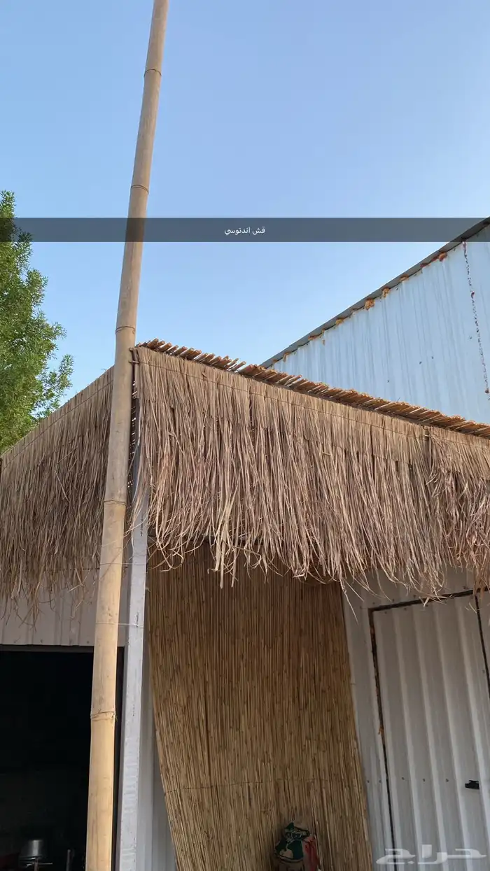 رولات خيزران باكستاني جودة عالية 11