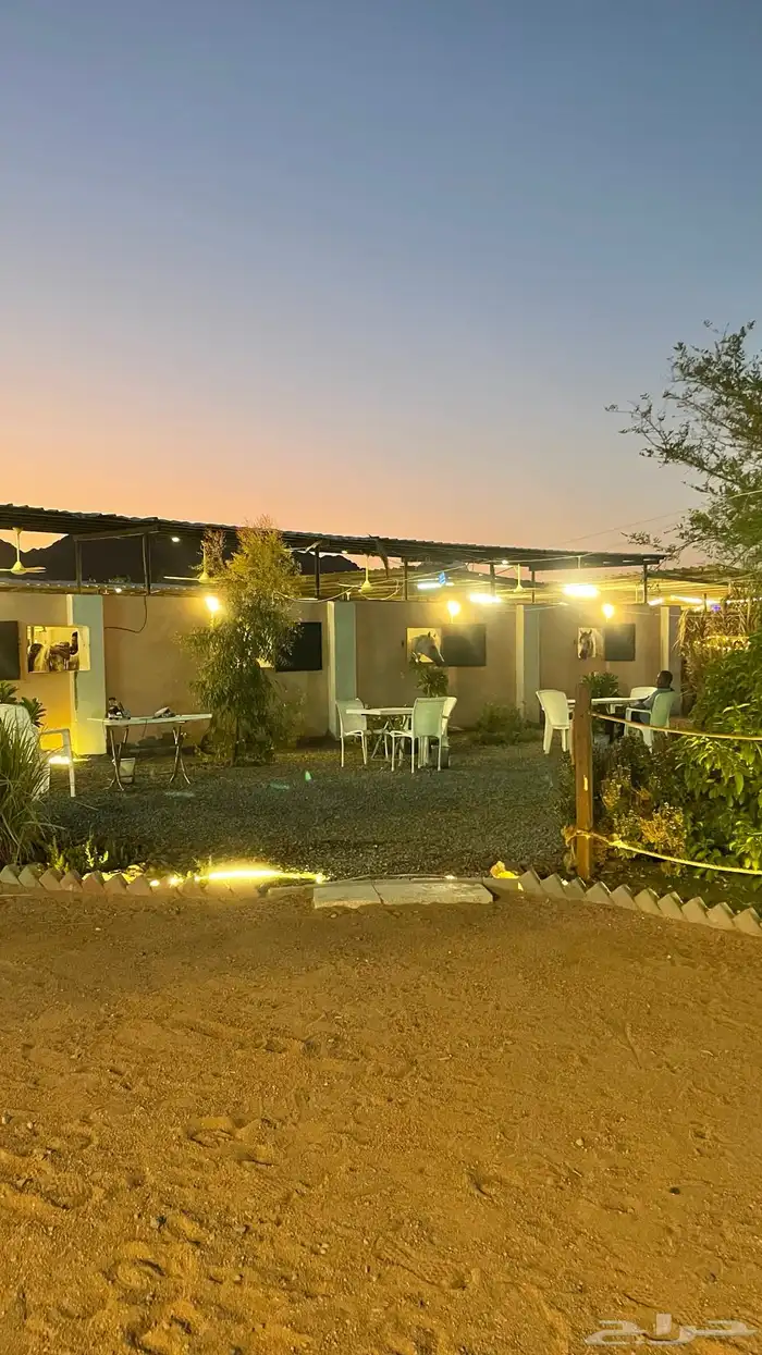 مربط الجواد للخيول العربية 2