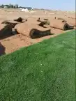 يابانى انتوره 1