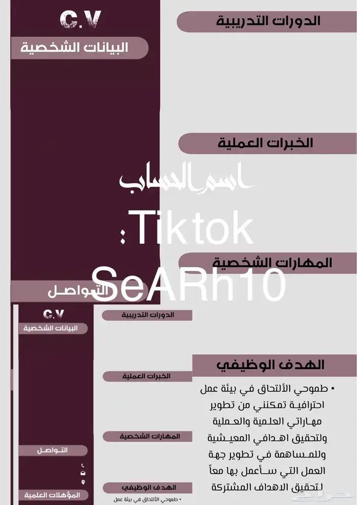 تصميم وانتاج سيره ذاتيه 2025 - 2026 4