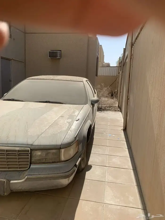 الرياض 5