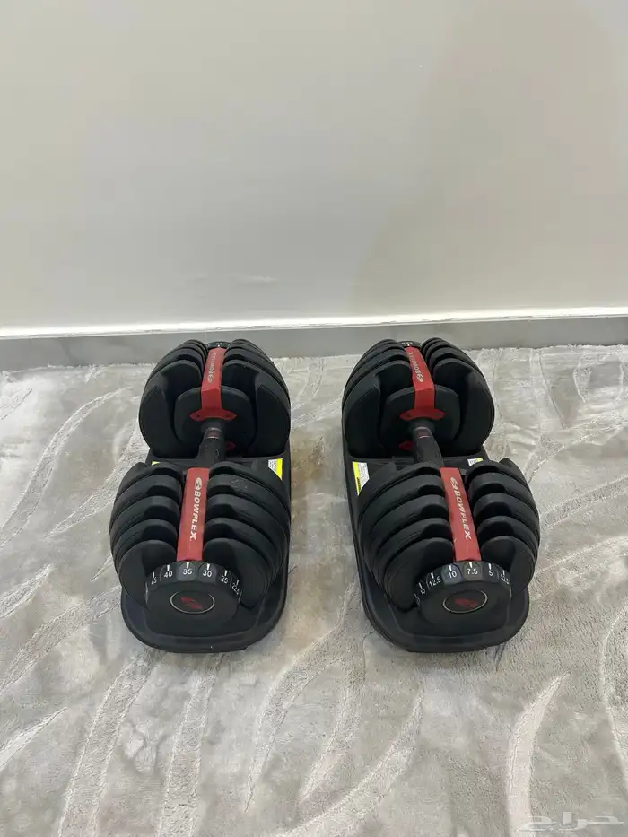 دمبل 0