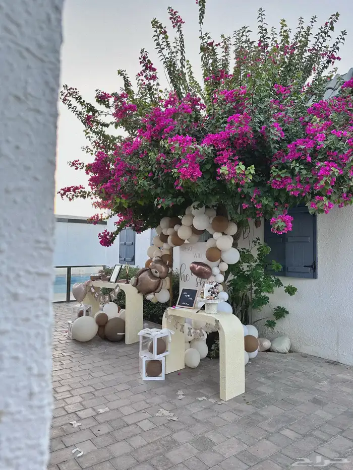 طاولات عدد 2 0